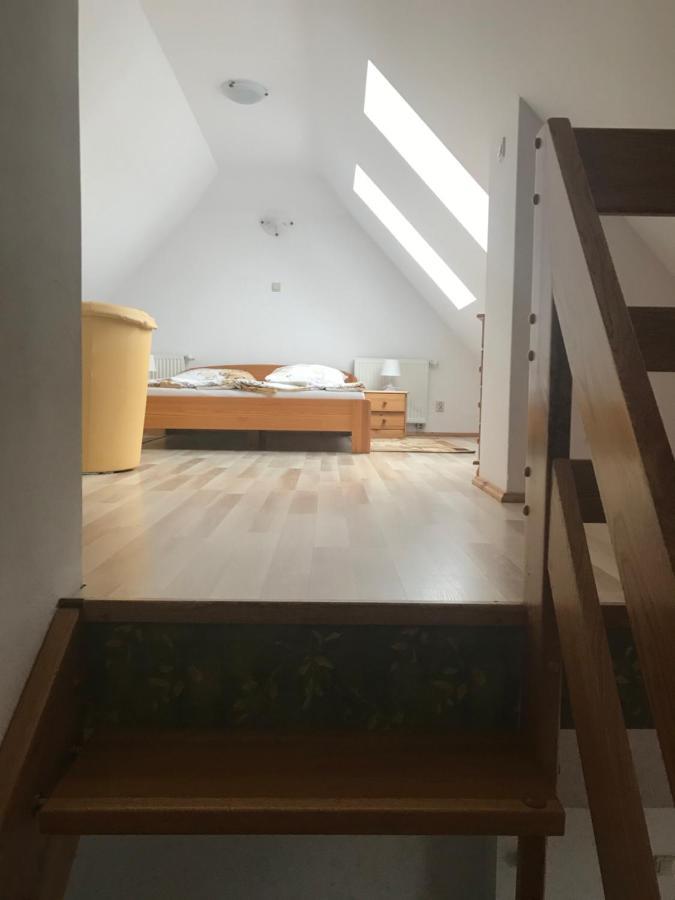 Pensjonat Janus Hotel Ruciane-Nida Kültér fotó